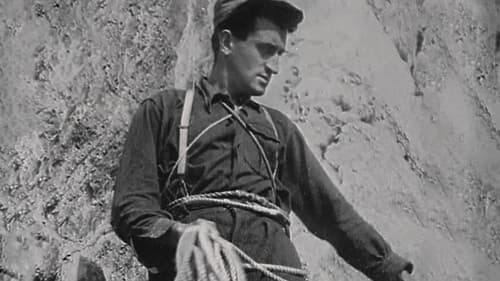 Le Grec - Georges Livanos Bild 2