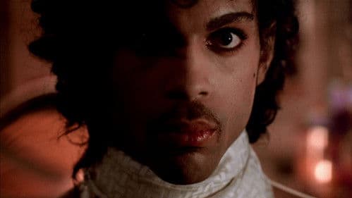 Purple Rain Bild 7