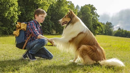 Lassie - Eine abenteuerliche Reise Bild 1