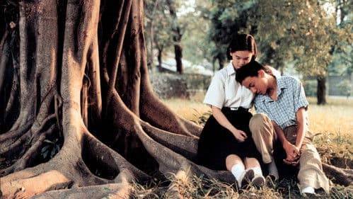 Ein Sommer zum Verlieben Bild 5