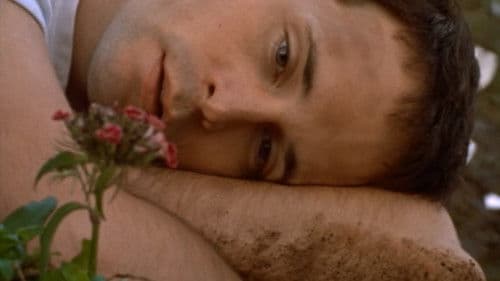 The Hanging Garden Bild 5