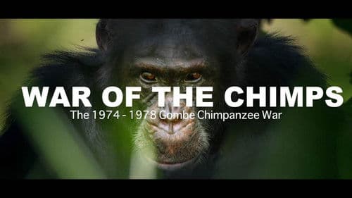 World War Chimp | The Brutal 1974 - 1978 Gombe Chimpanzee War: Documentary Bild 1