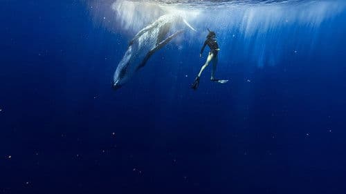 Le souffle de vie Bild 1