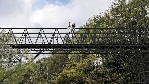 Grace and Gravity Bild 4