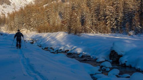 Vivre avec les loups Bild 5