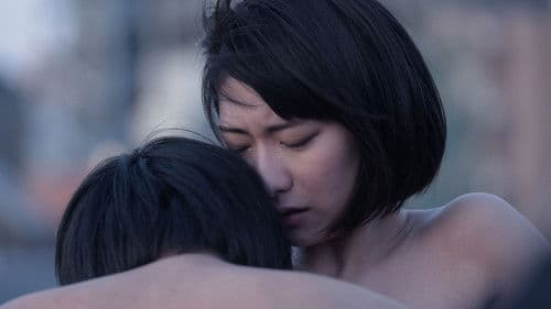 Dawn of the Felines Bild 1