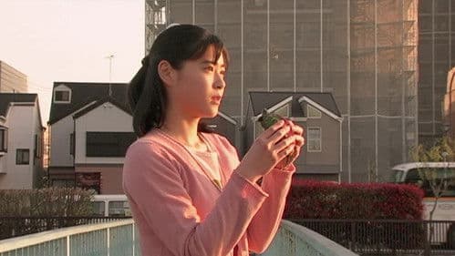 亀は意外と速く泳ぐ Bild 6