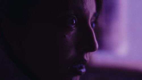 Cuando los gatos no maúllan Bild 1