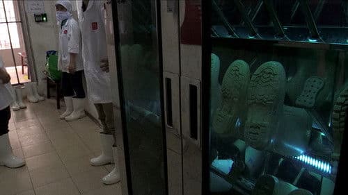 Ho Chi Minh Kim Chi Bild 1