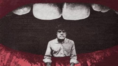 Ich bin ein Elefant, Madame Bild 2