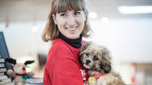 SPCA en action Bild 4