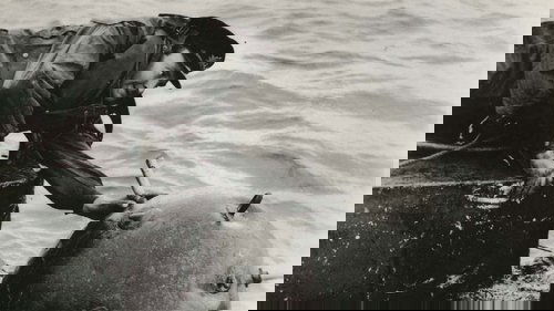 X-Boote greifen an Bild 1