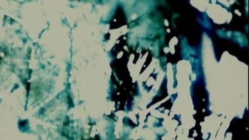 The Red Thread Bild 2