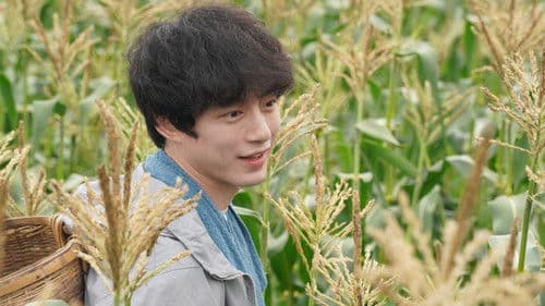 盤上の向日葵 Bild 4