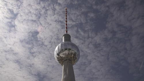 All Creatures Welcome Bild 4