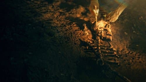 Geheimnisse der Neandertaler Bild 1