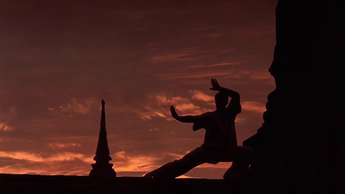 Karate Tiger 3 - Der Kickboxer Bild 6