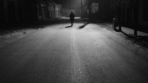 Die Werckmeisterschen Harmonien Bild 3