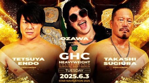 NOAH Star Navigation 2025 #3 Bild 6