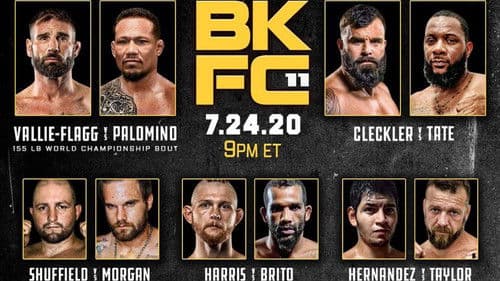 Bare Knuckle Fighting Championship 11 Bild 1