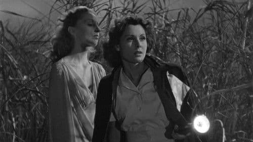 Ich folgte einem Zombie Bild 4