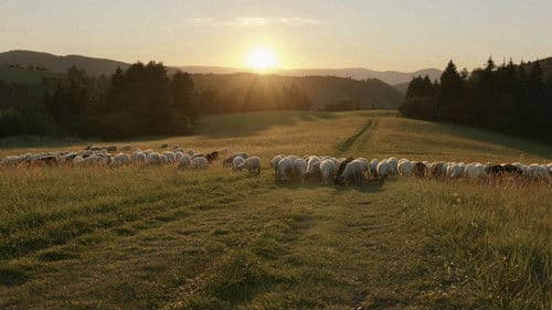 Ovčiarskou cestou Bild 1