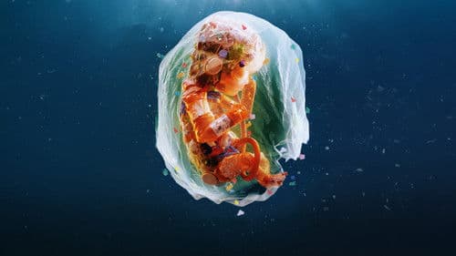 Plastic People Bild 1