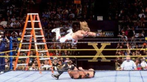 The Ladder Match 2: Crash & Burn Bild 1