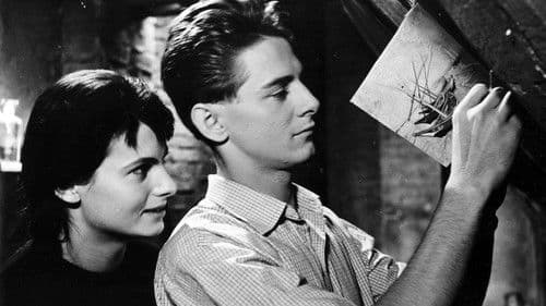 Romeo, Julie a tma Bild 3