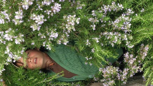 Times and Winds Bild 1