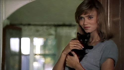 Sweet Nothing Bild 2