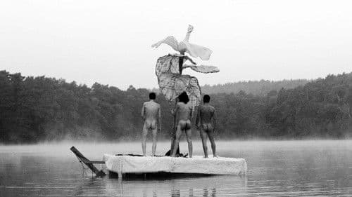 Schwarze Schafe Bild 1