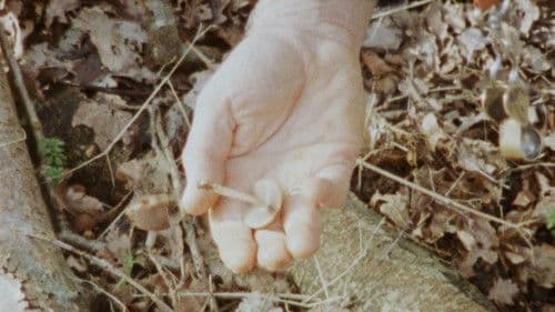 Seen From Here, I Feel Like Belonging Bild 4