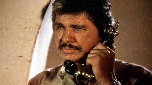 Ein Mann räumt auf Bild 6