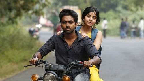 சிவப்பு மஞ்சள் பச்சை Bild 8