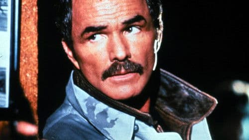 Die Anwältin Bild 2