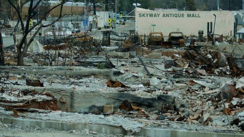 Rebuilding Paradise Bild 2