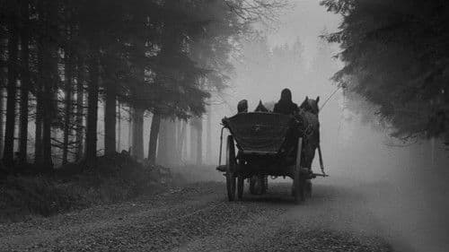 Wagen nach Wien Bild 3