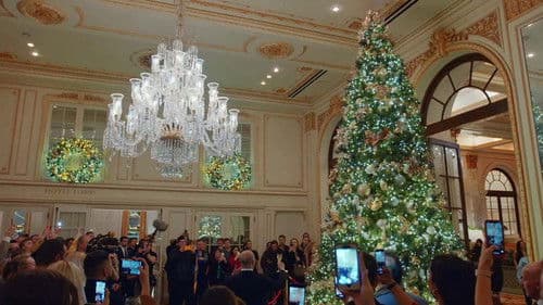 Christmas in New York: Inside the Plaza Bild 1