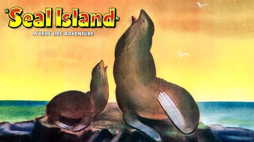 Die Robbeninsel Bild 2