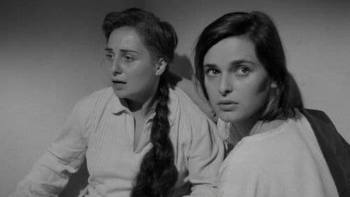 Die Verirrten Bild 1