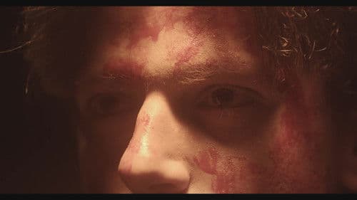 Te Veré Donde Los Árboles Bild 1