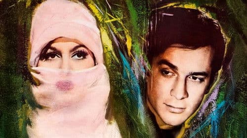 Gönülden Gönüle Bild 3