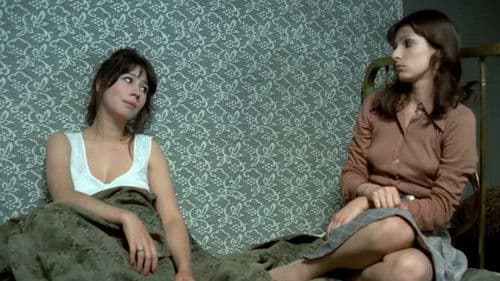 Ilustrate cu flori de câmp Bild 1