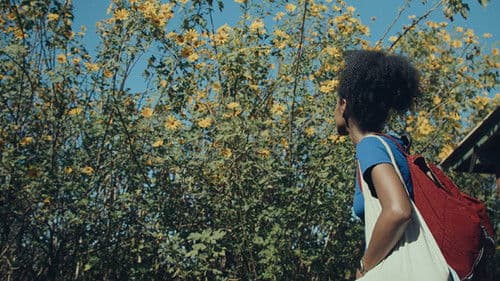 Dança dos Vagalumes Bild 1