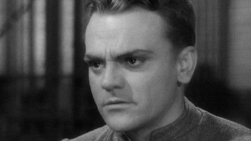 Todesangst bei jeder Dämmerung Bild 3