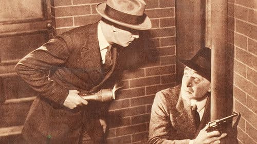 The Night Hawk Bild 1