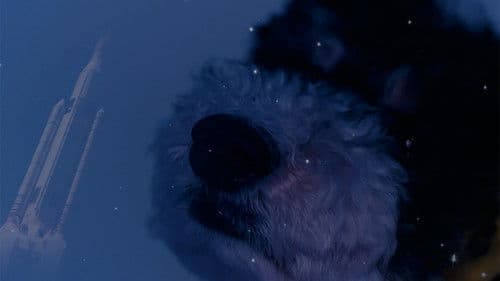 Coming Down Is The Hardest Thing Bild 3