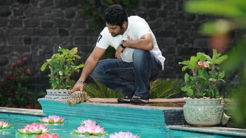 బృందావనం Bild 5