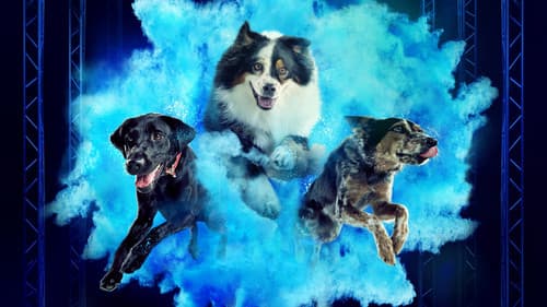 America's Top Dog Bild 1